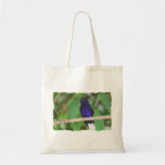 Tropical Hummingbird Tote Bags