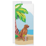 Tropical Irish Setter rack cards