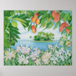 Tropical Island posters