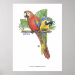 Tropical Macaws posters