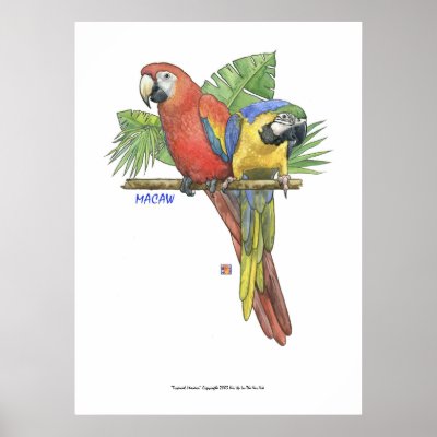 Tropical Macaws Posters by itsupintheairart