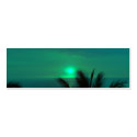 TROPICAL NIGHT business cards