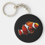 Tropical Orange Clownfish Clown Fish Key Chains