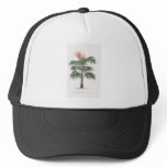 tropical palm tree collection - drawing V hats