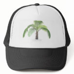 tropical palm tree collection - drawing VI hats