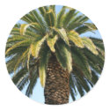 Tropical Palm Tree Sticker