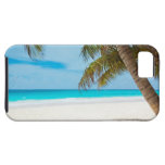 Tropical Paradise Beach
