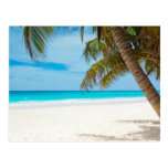 Tropical Paradise Beach Post Cards