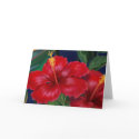Tropical Paradise Hibiscus Cards