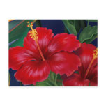 Tropical Paradise Hibiscus Postcard