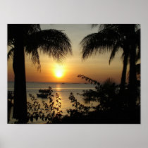 Tropical Paradise