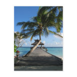 Tropical paradise - Today's Best December 12, 2007 postcards