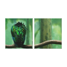 Tropical Parrot from Behind Stretched Canvas Print