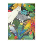Tropical Parrots & Bromeliads Postcard