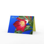 Tropical Passion - Thank You Cards