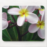 Tropical Plumeria Mousepad