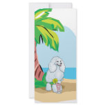 tropical poodle rack cards