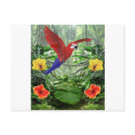 Tropical Rain Forest postcards
