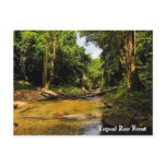 Tropical Rain Forest postcards