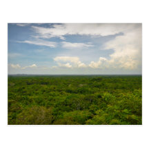 Tropical Rain Forest Postcard