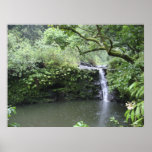 Tropical Rain Forest Waterfall posters