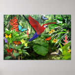 Tropical Rainforest Poster posters