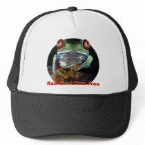 Tropical Red Eyed Tree Frog from Junglewalk.com