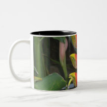 Tropical Refreshment Coffee Mugs