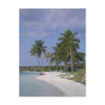 Tropical Settings postcards