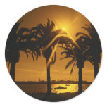 Tropical Sky Background Round Stickers