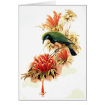 Tropical Splendor Card