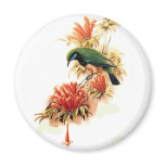 Tropical Splendor Fridge Magnet