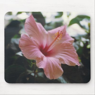 TROPICAL SPLENDOR - mousepad by Horseshoes3