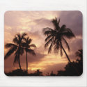 Tropical Splendour mousepads