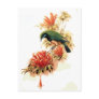 Tropical Splendour