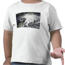 Tropical Storm Alberto Tees