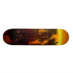 Tropical Sun Custom Skate Board