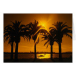 Tropical Sunset Card