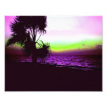 Tropical Sunset Photo Art