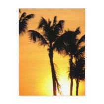 Tropical Sunset Postcard