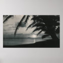 tropical sunset poster posters
