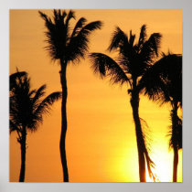 Tropical Sunset Posters