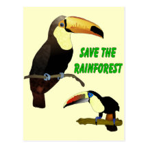 Tropical Toucan Post Cards