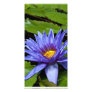 Tropical Waterlily Photo Card