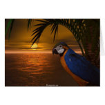 Tropical Waters  Greeting Cards