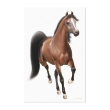 Trotting Bay Arabian Horse Wrapped Canvas Stretched Canvas Print