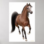 Trotting Bay Horse Poster posters