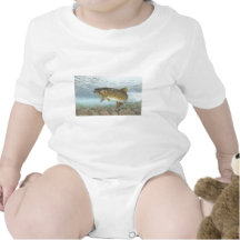 Trout, brook baby creeper