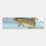 Trout, brook bumper stickers