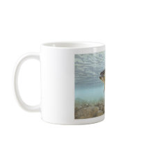 Trout, brook coffee mugs